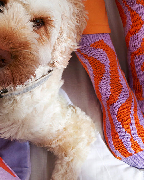 Villasukat